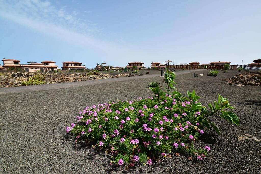 Vila Casa Platanera!! Lajares Exteriér fotografie